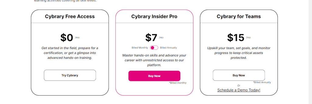 Introduction to IT & Cybersecurity PRICING