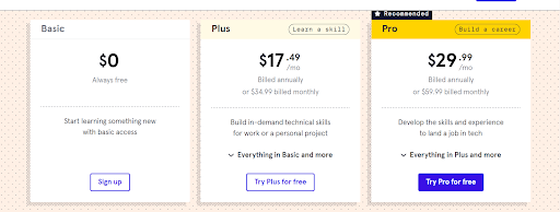 Codecademy Pricing