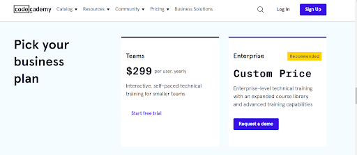Price Plan for business- Codecademy Review