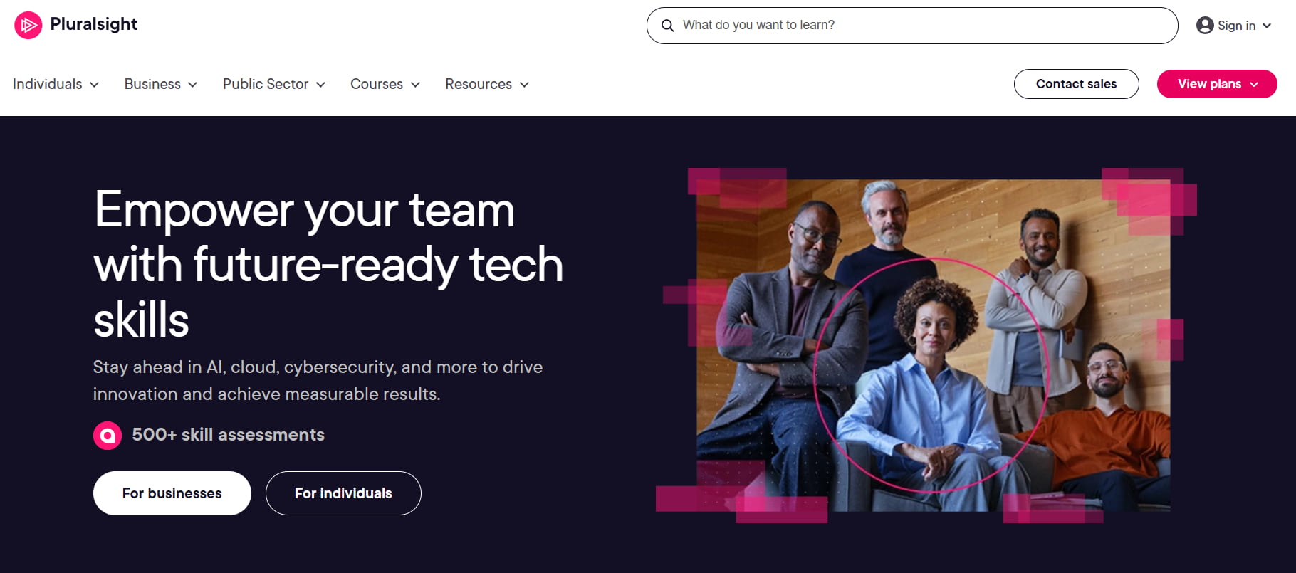 Pluralsight Overview